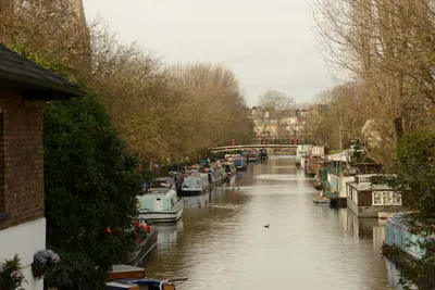 DSC_6081 (Large).JPG